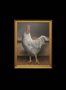 Barred-Plymouth-Rock-Rooster-Oil-Painting-3