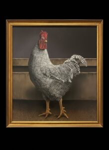 Barred-Plymouth-Rock-Rooster-Oil-Painting-B-3