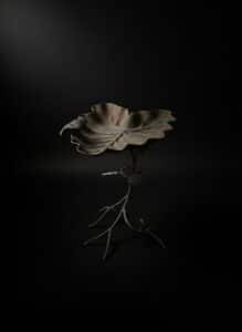 Cast-Iron-Leaf-Shaped-Bird-Bath-3