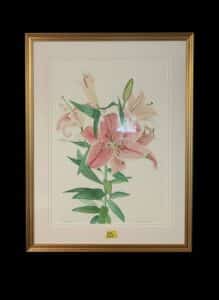 Stephanie-Clayton-Scott-Watercolor-Lily-Print-second-image-3