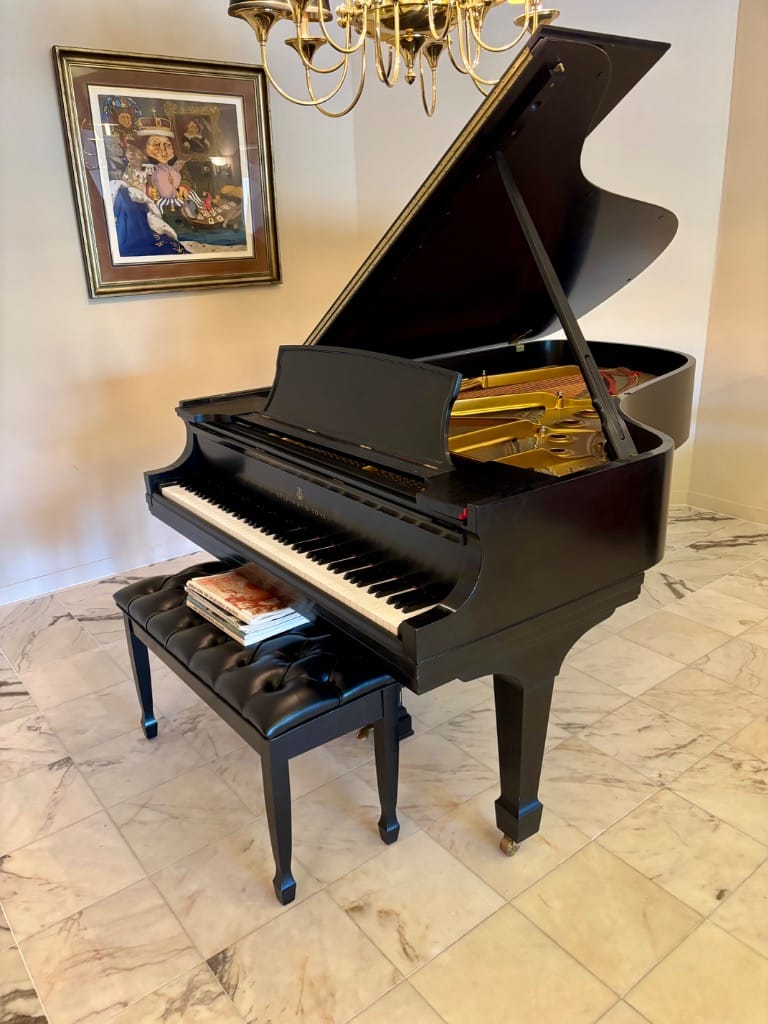 Blue Moon Estate Sale/ Eden Prairie