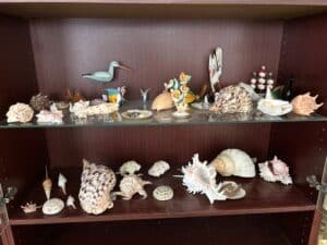 12-Mar-16-2026-11_52am-uF2B