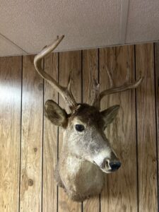 22-Mar-16-2026-11_58am-rvZb