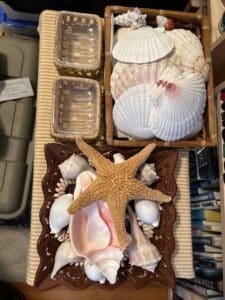 5-Mar-16-2026-11_50am-Fvt9