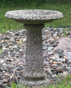 IMG_3235