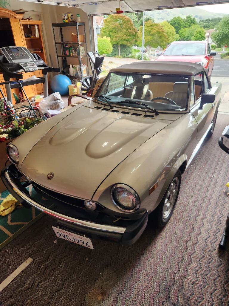 May 16 & 17 in Fairfield, Fiat 124 Spider, Plants, Decor & More