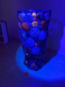IMG_1684