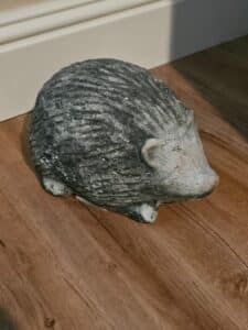 1000078284