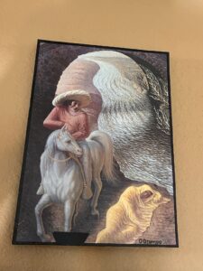 IMG_7723