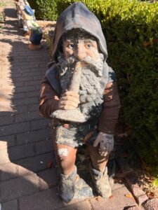 IMG_8346