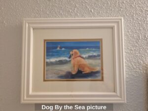 Dog-By-the-Sea-picture
