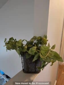 New-Asset-to-Be-Processed-F