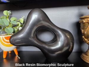 Black-Resin-Biomorphic-Sculpture