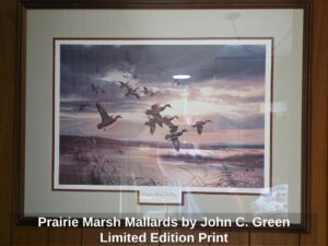 Prairie-Marsh-Mallards-by-John-C.-Green-Limited-Edition-Print
