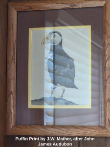 Puffin-Print-by-J.W.-Mather-after-John-James-Audubon