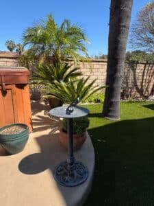 Ornate-Cast-Iron-Bird-Bath-with-Pedestal