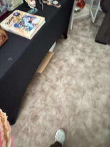 The-Muppets-Miss-Piggy-and-Kermit-the-Frog-Salt-and-Pepper-Shakers-third-image