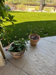 Vintage-Decorative-Planter-with-Ivy