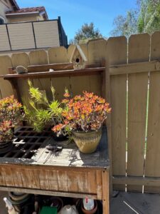 Wooden-Potting-Bench-with-Shelving-second-image