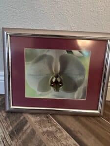 Framed-Orchid-Photograph