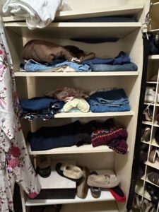 Assorted-Womens-Clothing-and-Shoes-fifth-image