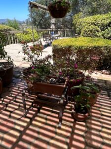 Assorted-Patio-Planters-Potted-Plants-and-Garden-Ornaments-fourth-image