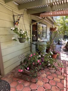 Assorted-Patio-Planters-Potted-Plants-and-Garden-Ornaments-second-image