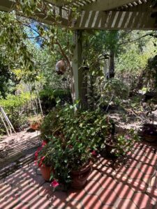 Assorted-Patio-Planters-Potted-Plants-and-Garden-Ornaments-third-image