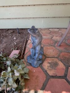 Cast-Stone-Frog-Garden-Statue-with-Umbrella