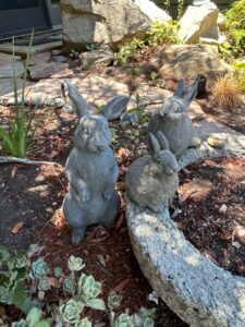 Cast-Stone-Rabbit-Garden-Planter-Set-second-image