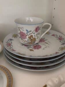 Dolphin-Fine-China-Japan-Rosetta-Teacup-and-Saucer-Set