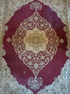 Home-Dynamix-Bazaar-Emy-Medallion-Area-Rug-second-image