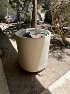 Large-Glazed-Ceramic-Cylinder-Planter-Gainey-Pottery-Style-second-image