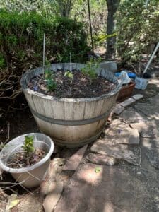Reclaimed-Oak-Half-Whiskey-Barrel-Planter