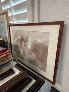 Ted-Hammond-Horse-Photography-Print