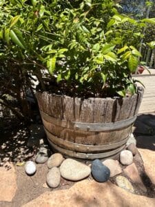 Vintage-Reclaimed-Oak-Wine-Barrel-Planter