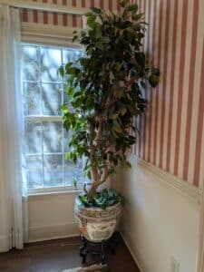 PXL_20260224_164703642