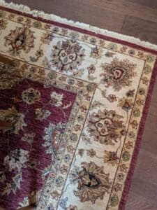 PXL_20260224_165029399