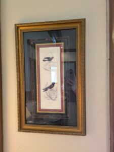 PXL_20260224_184044906