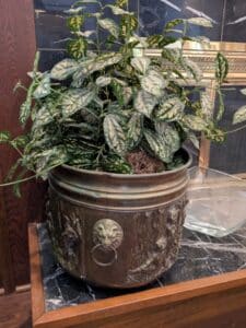 PXL_20260224_190837002