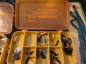 PXL_20260224_191346593