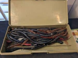 PXL_20260224_191353928