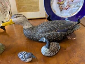 PXL_20260224_193233915