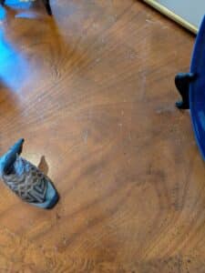 PXL_20260224_193252123