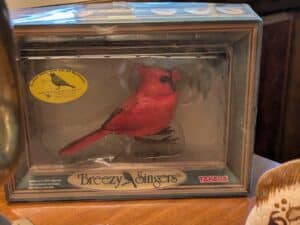 PXL_20260224_193514855