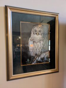 PXL_20260224_195107864