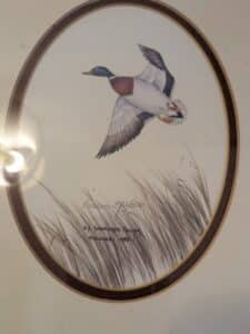 PXL_20260224_200045066