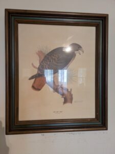 PXL_20260224_200653329