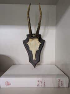 PXL_20260303_150454107