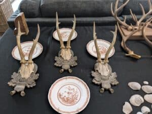 PXL_20260303_152436507